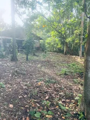 Land With House For Sale Ja Ela In Ja-Ela