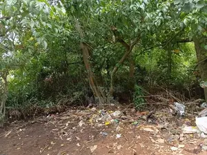 බොල්ගොඩ ගගට මායිම්ස සුපරි ඉඩමක් විකිණීමට .