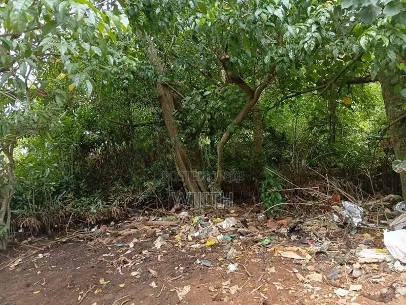 බොල්ගොඩ ගගට මායිම්ස සුපරි ඉඩමක් විකිණීමට .