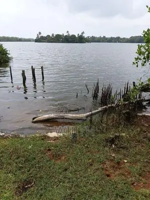 බොල්ගොඩ ගගට මායිම්ස සුපරි ඉඩමක් විකිණීමට .