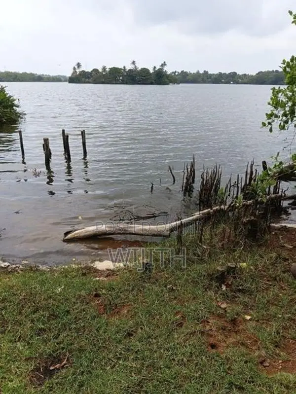 බොල්ගොඩ ගගට මායිම්ස සුපරි ඉඩමක් විකිණීමට .