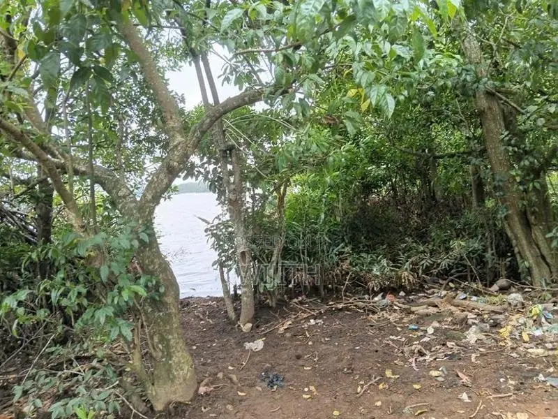 බොල්ගොඩ ගගට මායිම්ස සුපරි ඉඩමක් විකිණීමට .