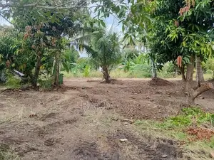 ඉඩමක් විකණීමට අනුරාධපුර