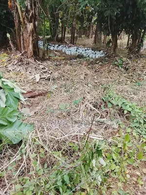 Residential Land for Sale in Kurunegala, Mallawapitiya