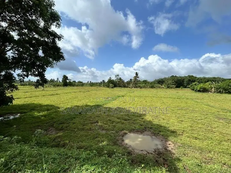 Land in Diyakada Halavila Ambagahawatta - Kahathuduwa Kesbewa