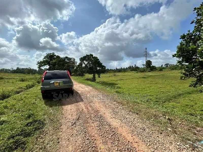 Land in Diyakada Halavila Ambagahawatta - Kahathuduwa Kesbewa