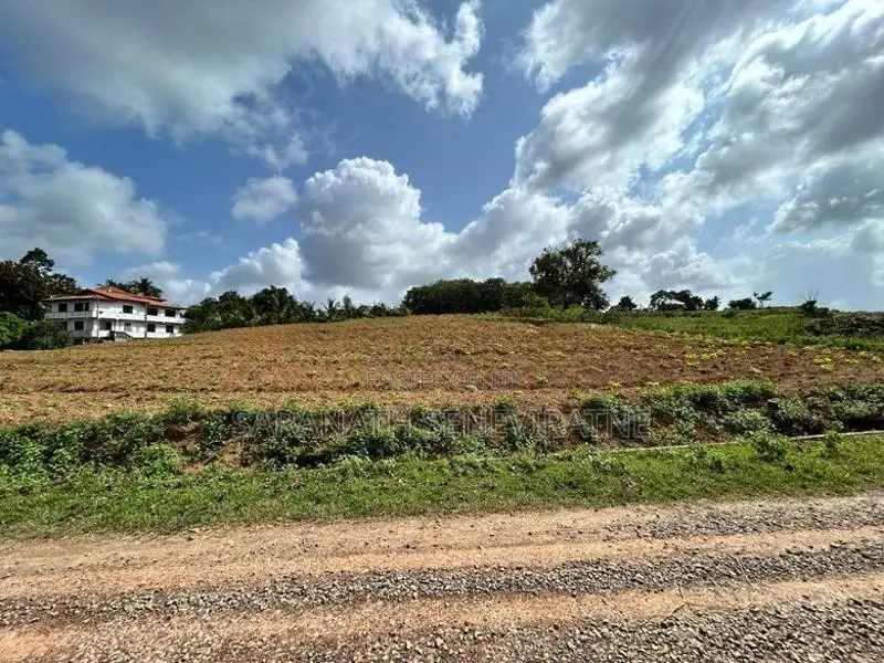 Land in Diyakada Halavila Ambagahawatta - Kahathuduwa Kesbewa