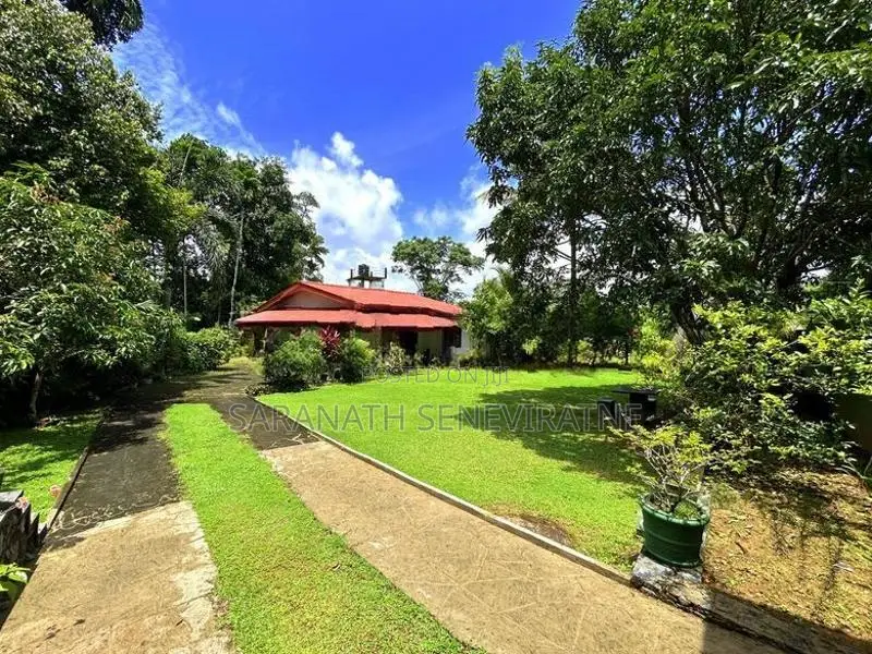 House For Sale in Peaceful Environment Meegoda Homagama Off Padukka Rd