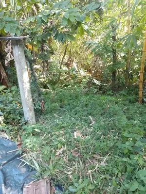 කටුනායක - අමන්දොලුව පර්චස් 15ක් විකිණීමට ඇත.