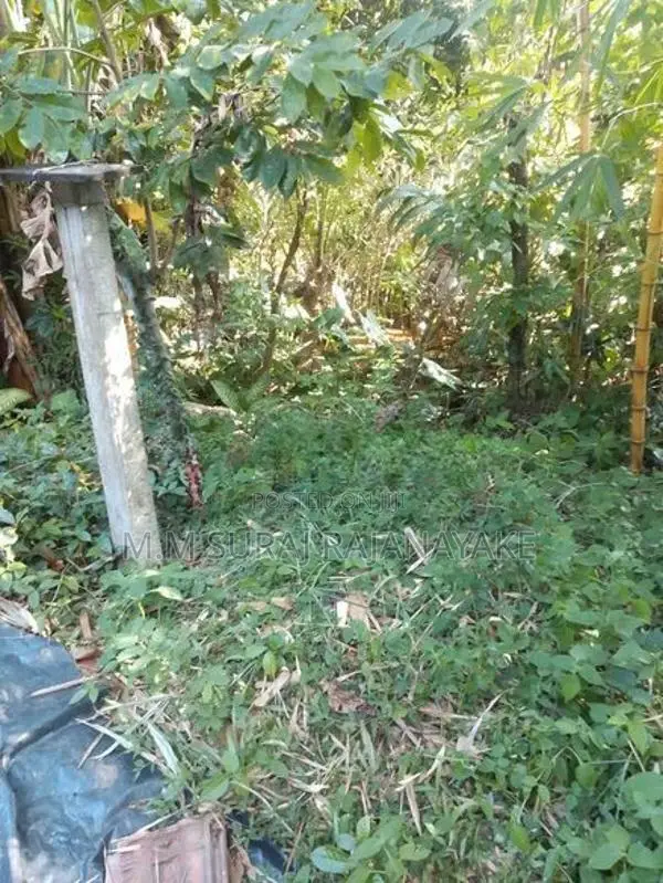 කටුනායක - අමන්දොලුව පර්චස් 15ක් විකිණීමට ඇත.