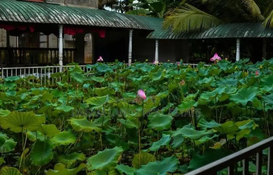 ☆ Homagama Moragahahena Road Restaurant For Rent ( R- 808)