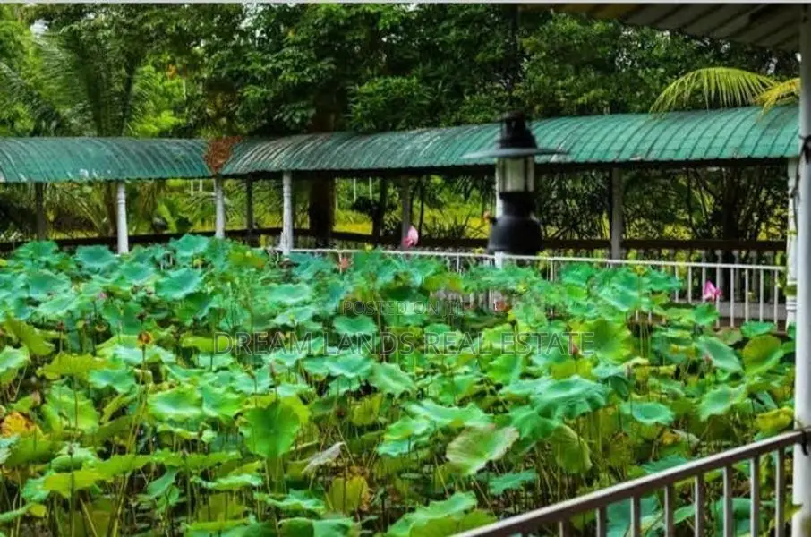 ☆ Homagama Moragahahena Road Restaurant For Rent ( R- 808)