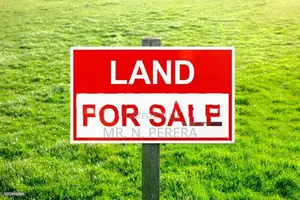 7 Perches Bare Land for Sale at Kohuwala - 𝐍𝐑𝐄 𝟕𝟖