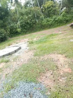 කටුනායක - මඩවලින් පර්චස් 30ක් විකිණීමට ඇත.