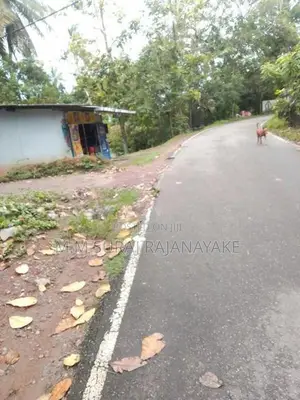 කටුනායක - මඩවලින් පර්චස් 30ක් විකිණීමට ඇත.