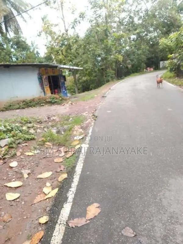 කටුනායක - මඩවලින් පර්චස් 30ක් විකිණීමට ඇත.