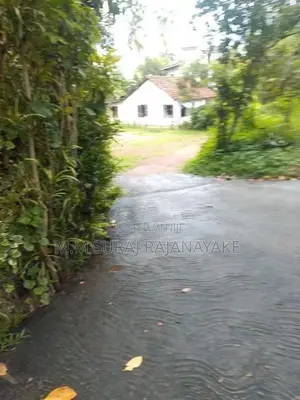 කටුනායක - මඩවලින් පර්චස් 30ක් විකිණීමට ඇත.