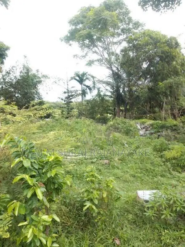 කටුනායක - මඩවලින් පර්චස් 30ක් විකිණීමට ඇත.