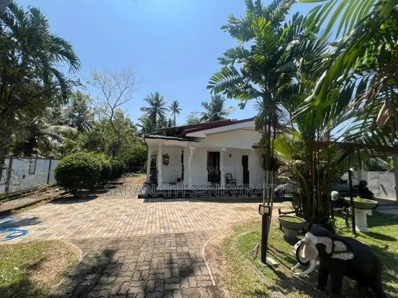 House With SOLAR & Built in 41 Perches Land Extent - Sale Ja-Ela