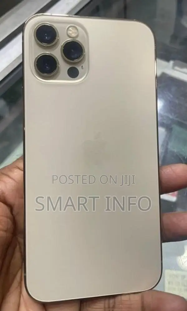 Apple iPhone 12 Pro Max (Used)