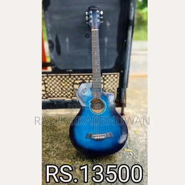 Acoustic 6 String Guitar