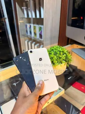 Apple iPhone 8 256GB (Used)