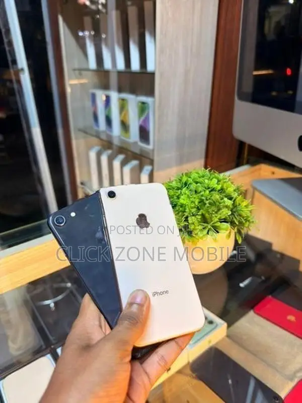 Apple iPhone 8 256GB (Used)