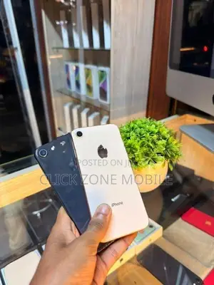 Apple iPhone 8 256GB (Used)
