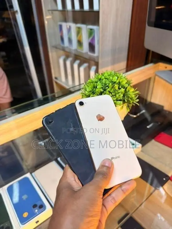 Apple iPhone 8 256GB (Used)