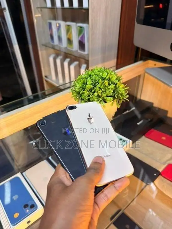 Apple iPhone 8 256GB (Used)