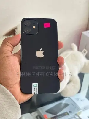 Apple iPhone 12 (Used)