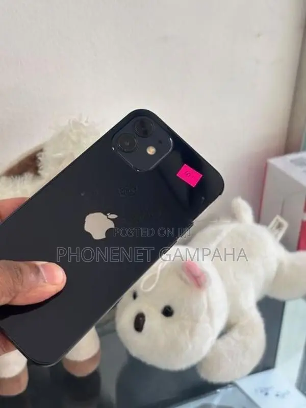 Apple iPhone 12 (Used)