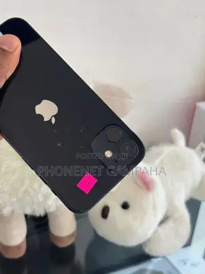 Apple iPhone 12 (Used)