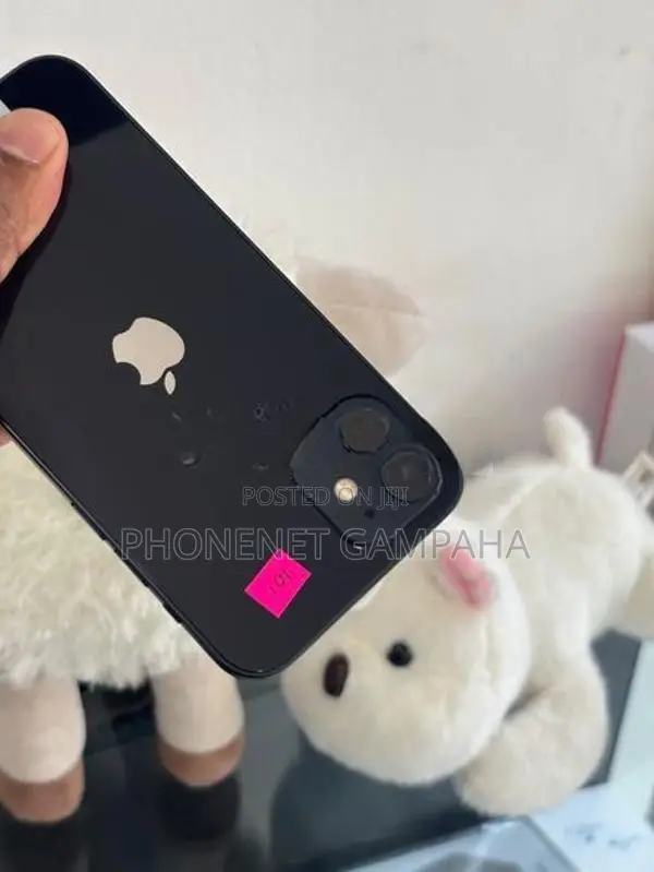 Apple iPhone 12 (Used)