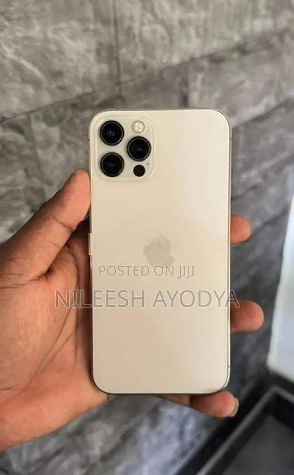 Apple iPhone 12 Pro 256GB (Used)