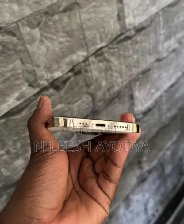 Apple iPhone 12 Pro 256GB (Used)