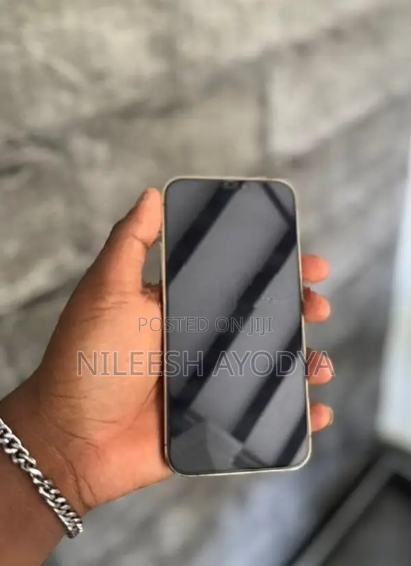 Apple iPhone 12 Pro 256GB (Used)