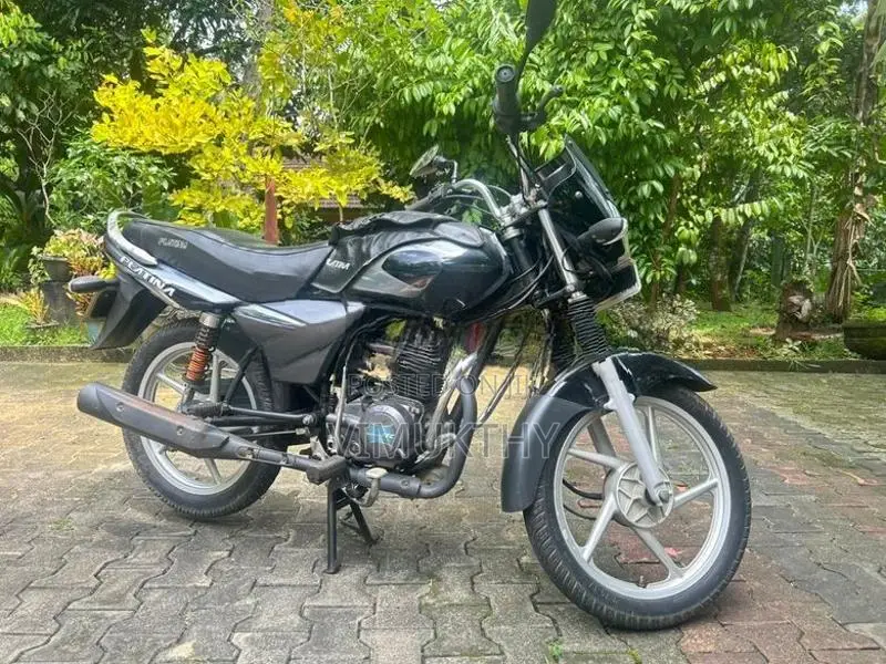 Bajaj Platina 100 2007