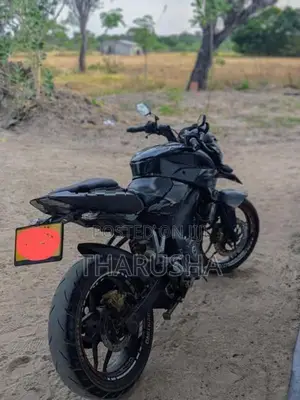 Bajaj Pulsar NS200 2019