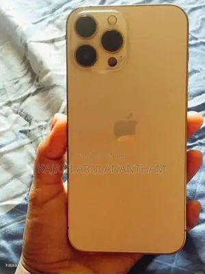 Apple iPhone 13 Pro Max (Used)