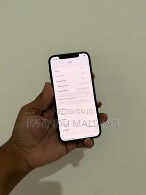 Apple iPhone 12 256GB (Used)