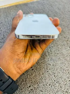 Apple iPhone 12 Pro (Used)