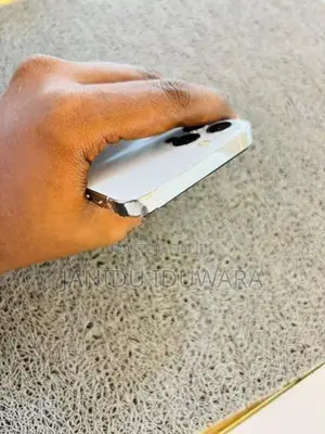Apple iPhone 12 Pro (Used)