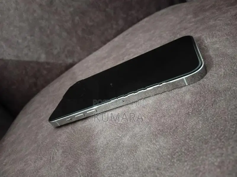 Apple iPhone 14 Pro Max (Used)