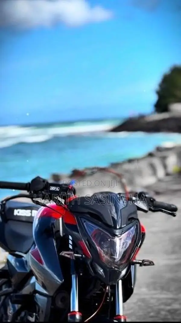 Bajaj Pulsar NS160 2019