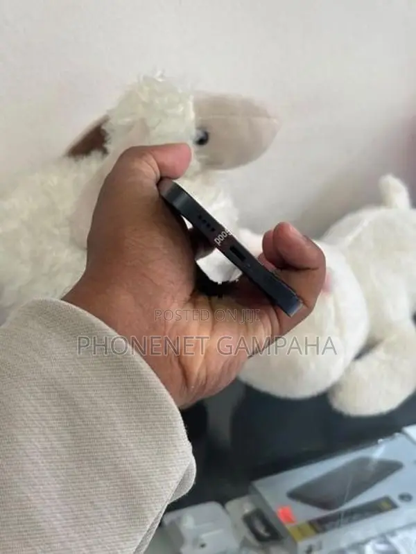 Apple iPhone 13 (Used)