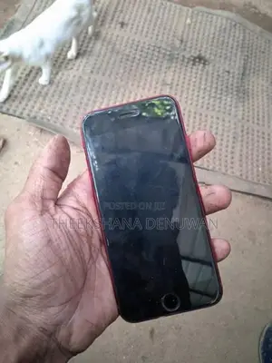 Apple iPhone SE 3 (Used)