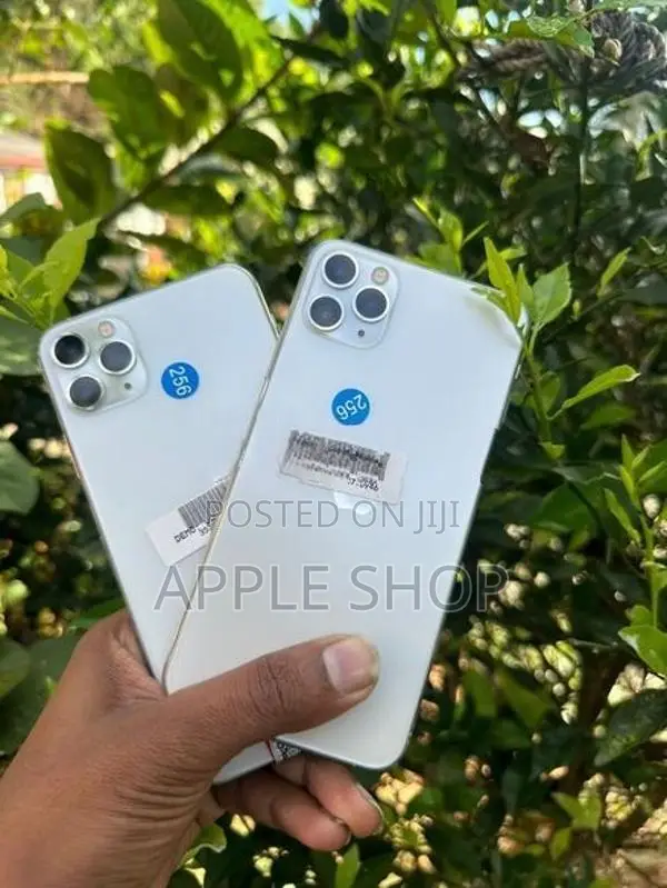 Apple iPhone 12 Pro Max 128GB (Used)