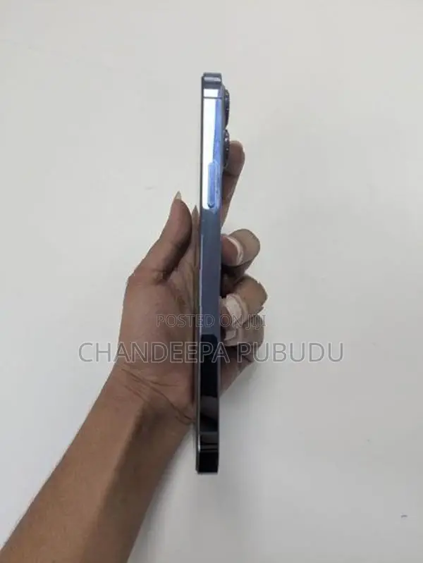 Apple iPhone 13 Pro Max (Used)