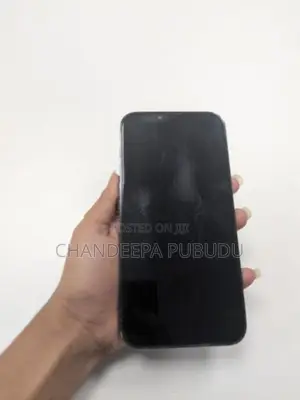 Apple iPhone 13 Pro Max (Used)